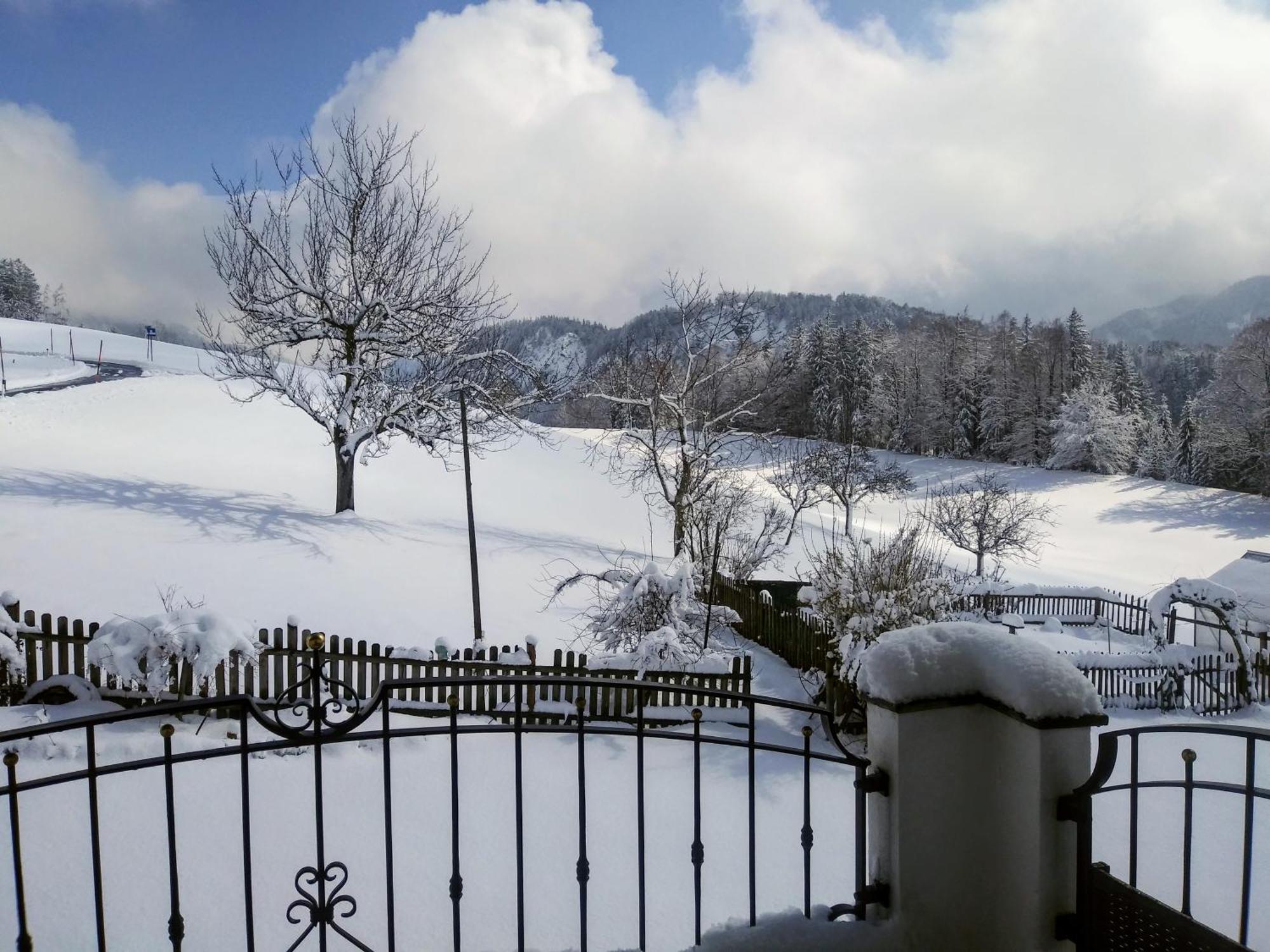 Leitingerhof Βίλα Thalgau Εξωτερικό φωτογραφία