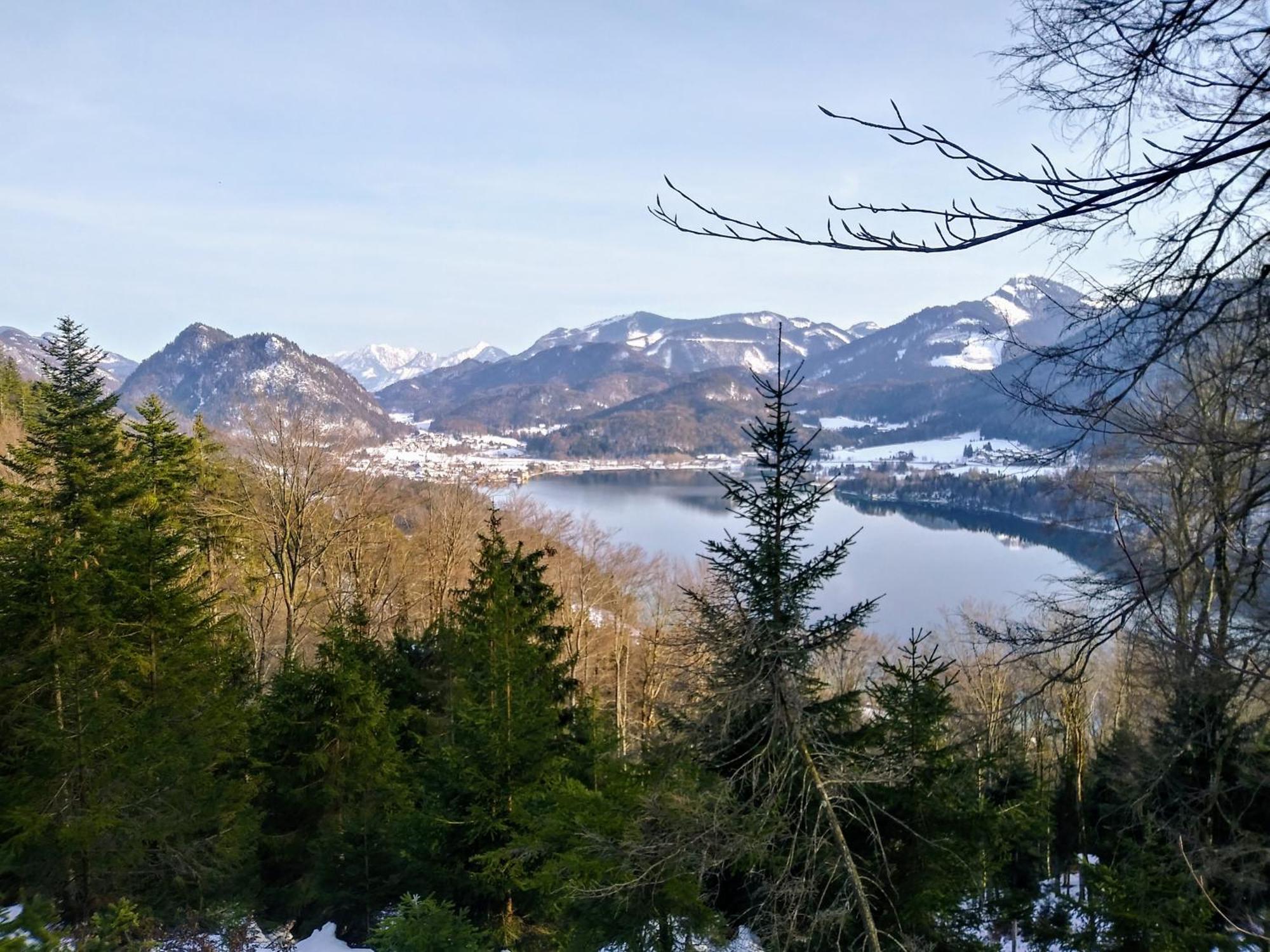 Leitingerhof Βίλα Thalgau Εξωτερικό φωτογραφία