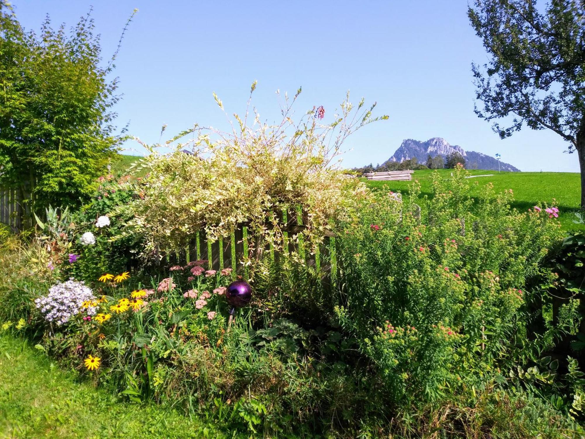 Leitingerhof Βίλα Thalgau Εξωτερικό φωτογραφία