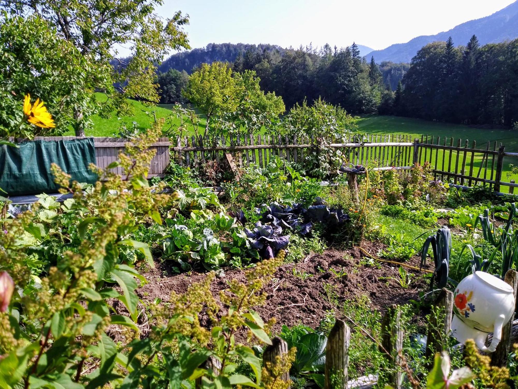 Leitingerhof Βίλα Thalgau Εξωτερικό φωτογραφία