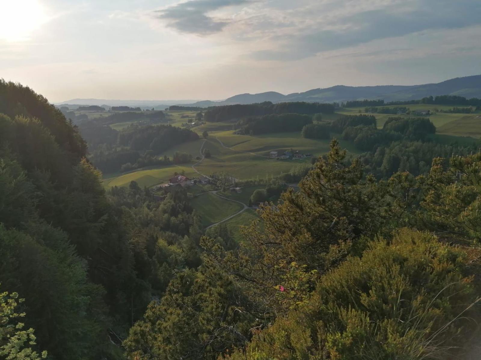 Leitingerhof Βίλα Thalgau Εξωτερικό φωτογραφία